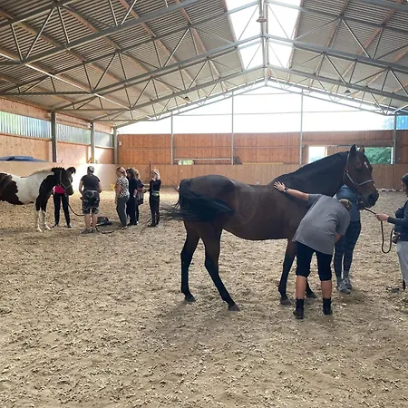 Ranczo Palomino Vendégház 3*