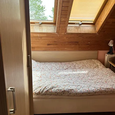 Ranczo Palomino Vendégház Pinasy